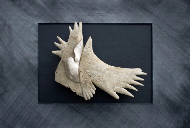 Brosche von Renate Knauer: Fliegen, 2023, Teil des Panzers einer Meeresschildkröte, Sterlingsilber